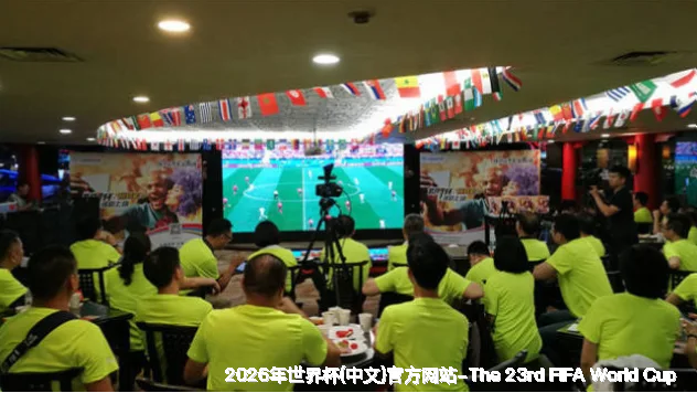 未来愿景与发展方向